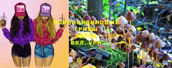 прущие крисы Алексин