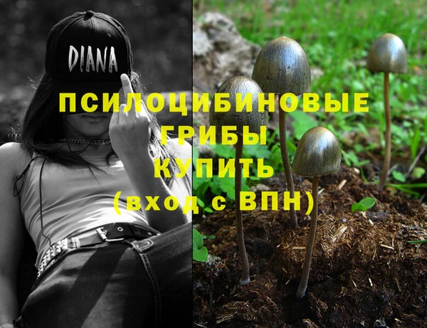 шишки Абинск