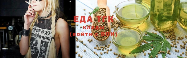 шишки Абинск