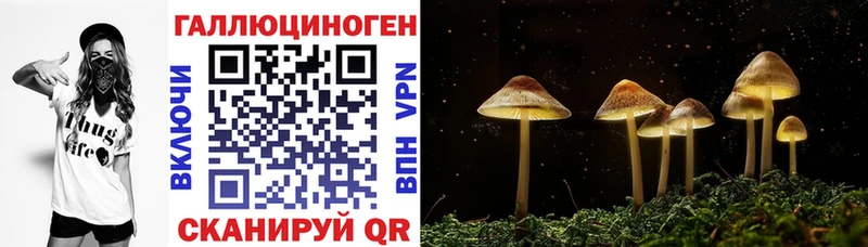 купить закладку  Сусуман  Галлюциногенные грибы мухоморы 